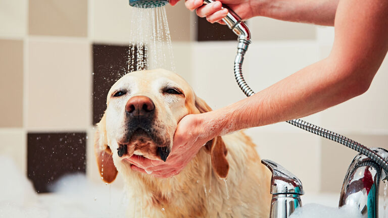 shower running shower running