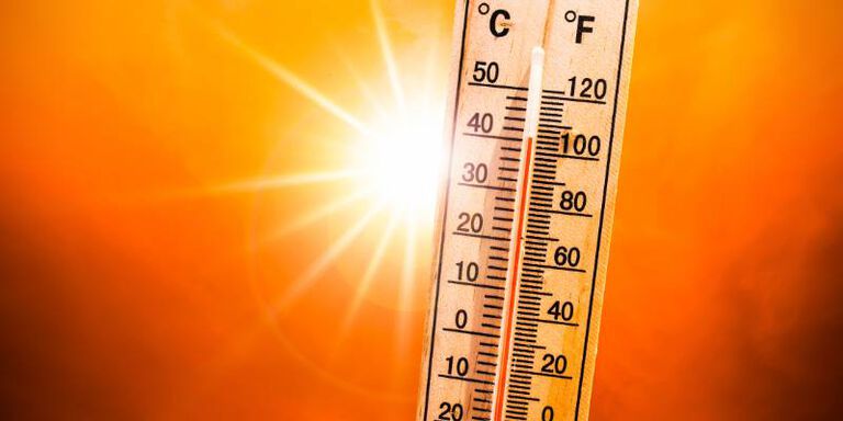 thermometer thermometer